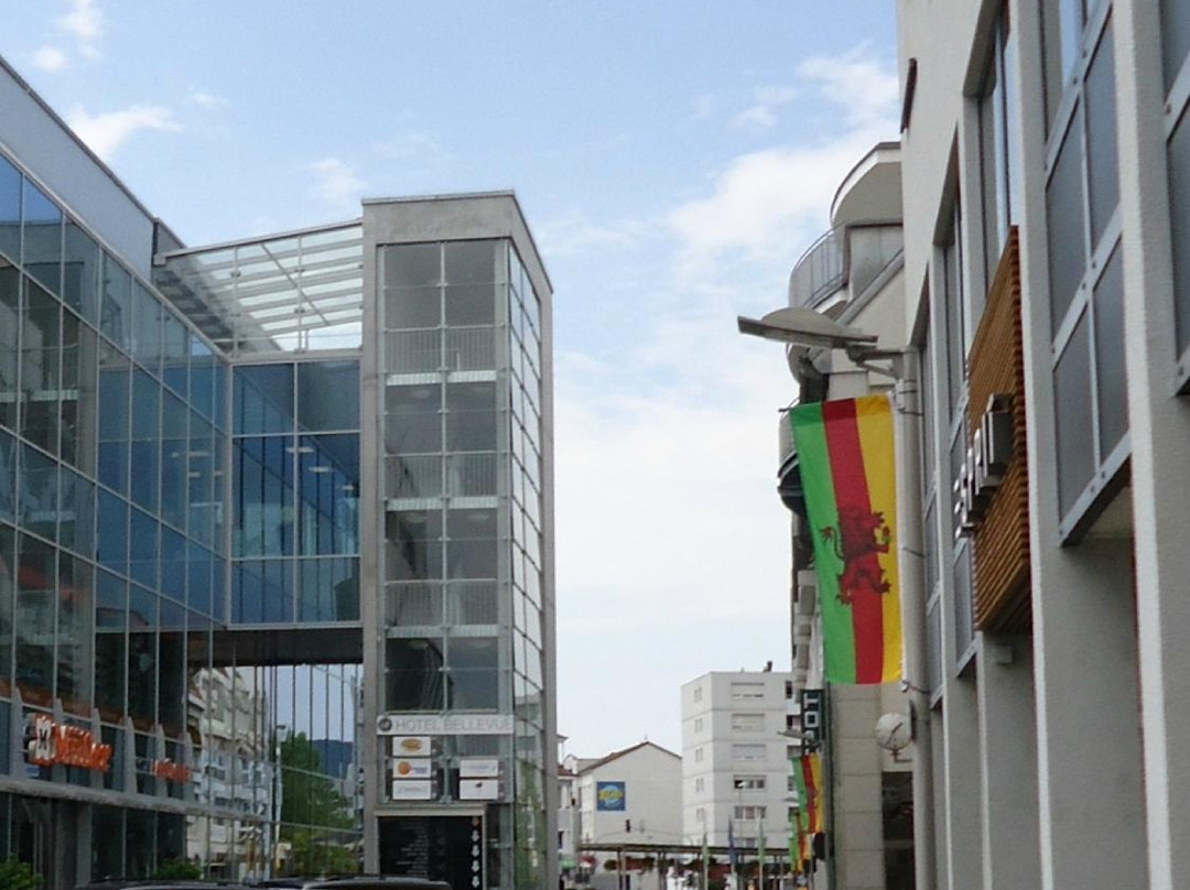 Boutique Hotel Bellevue主图