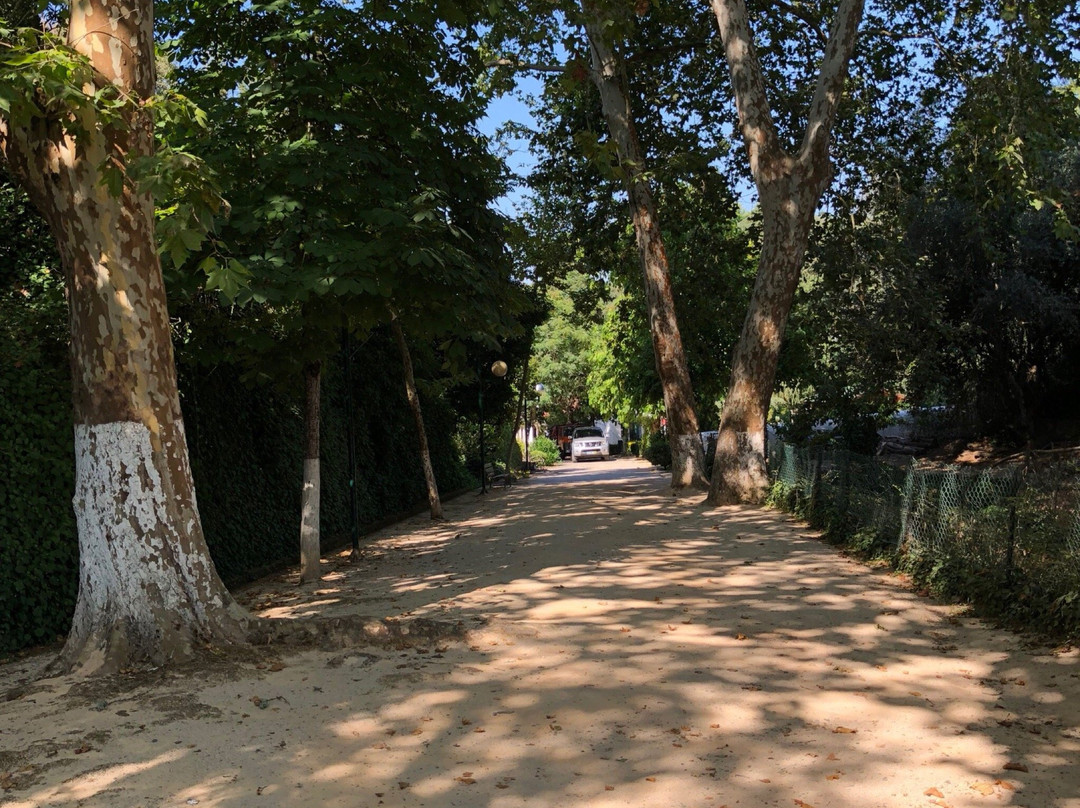 Jardim da Fonte Ferrea景点图片