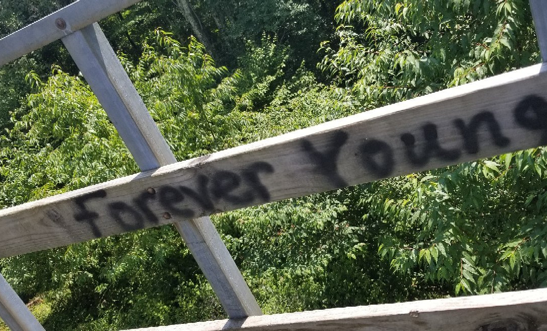 Bickel Knob Observation Tower-Elkins必去景点