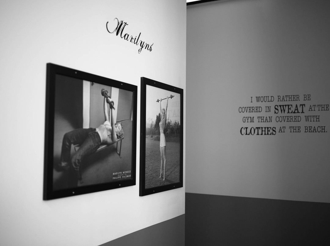 Mount Vernon Gym-Mount Vernon必去景点