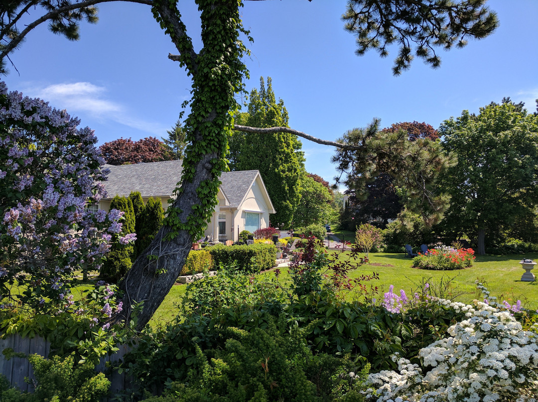 Willowmere Lakeside Retreat主图