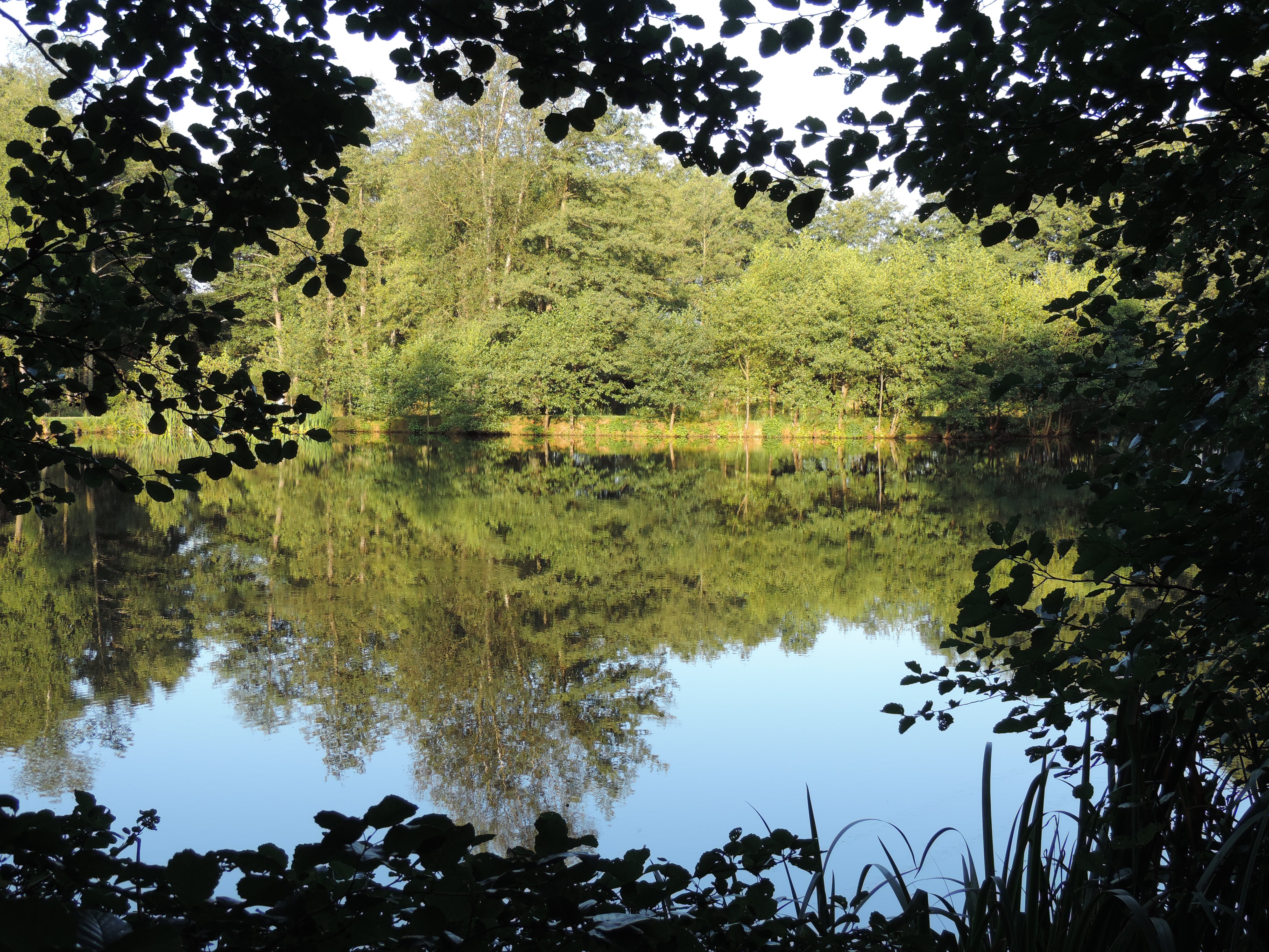 Le Domaine du Lac-官方