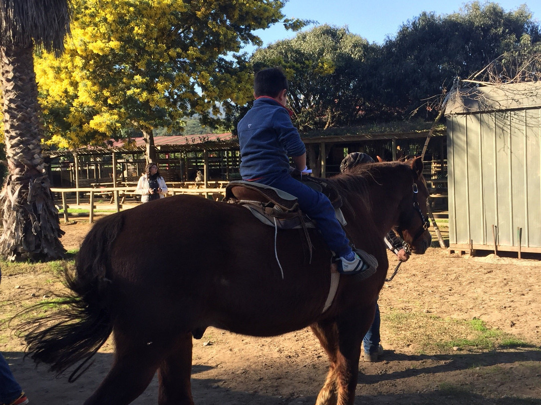 Campo Educativo-Concon必去景点