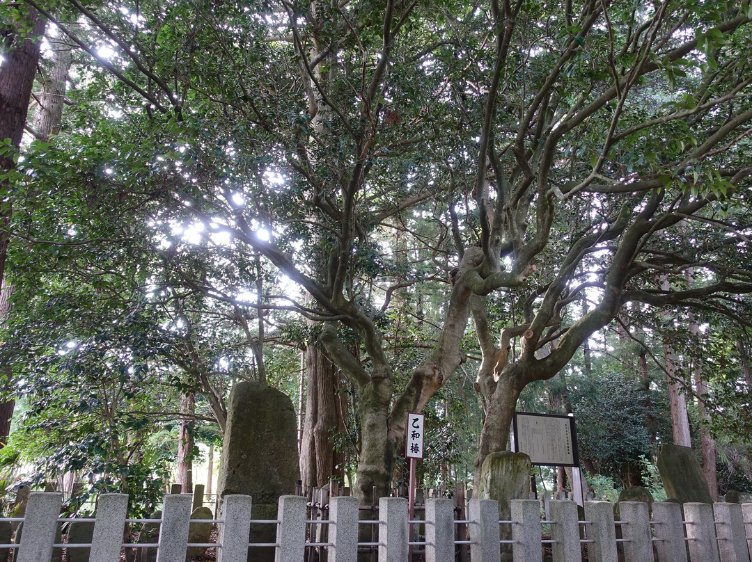Ioji Temple-福岛市必去景点