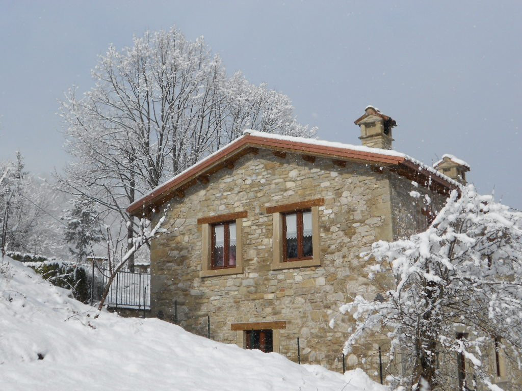 Stella Alpina