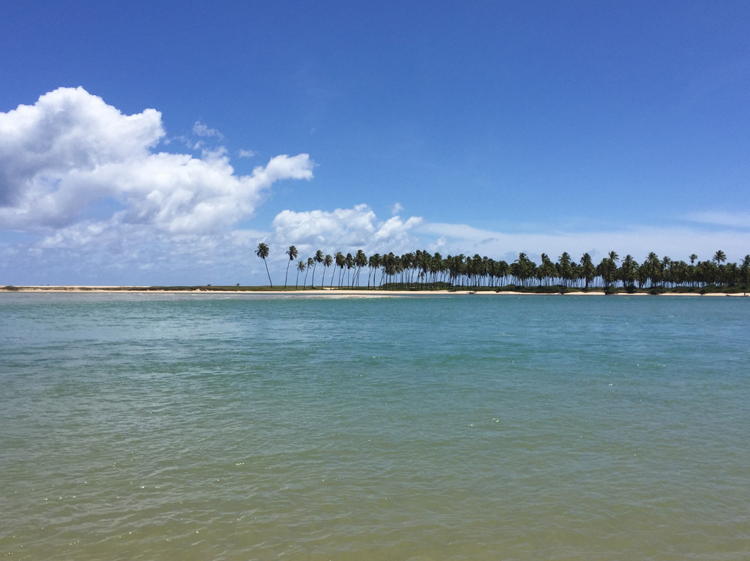 MM Brasil Private Tours-Camacari必去景点