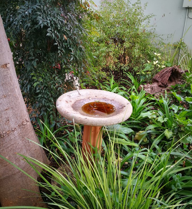 Bauhenia Guesthouse主图