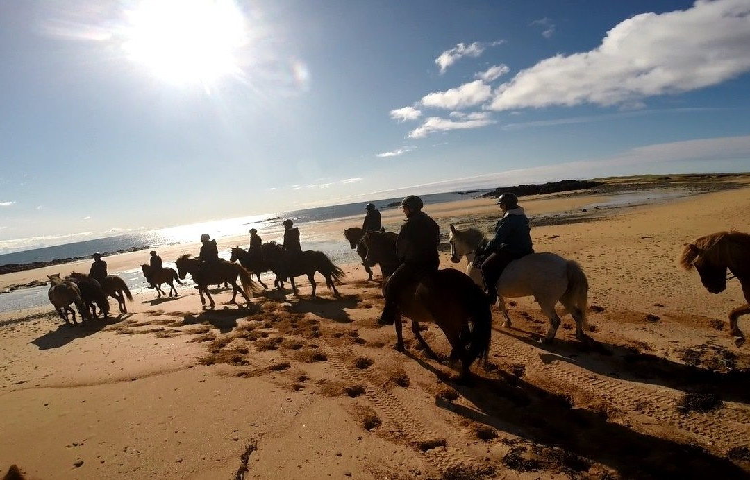 Gröf Horseback Riding Iceland & The Holy Ram Lodge景点图片