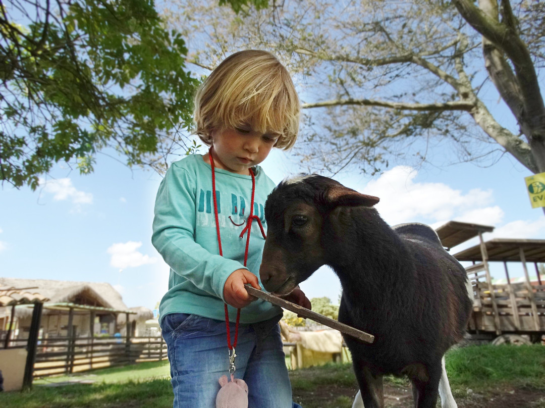 Multiparque-波哥大必去景点