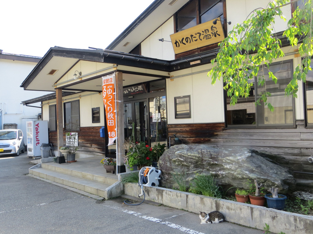 Folkloro Kakunodate主图