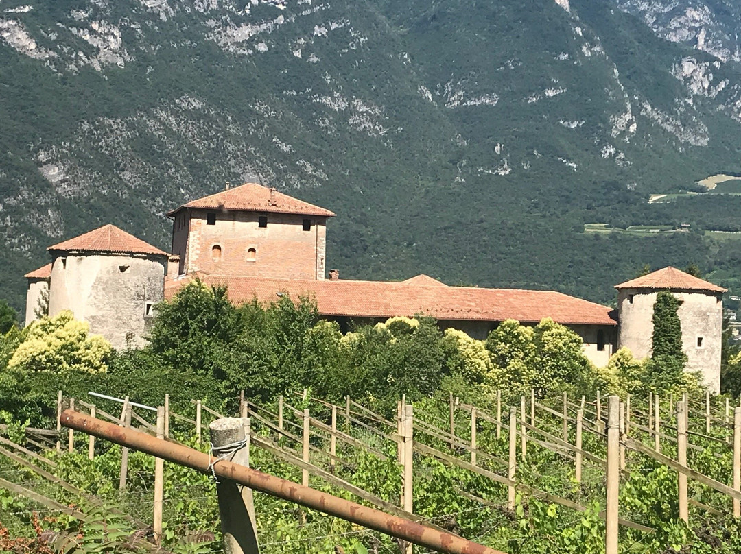 Castello di Mattarello o Torrefranca景点图片