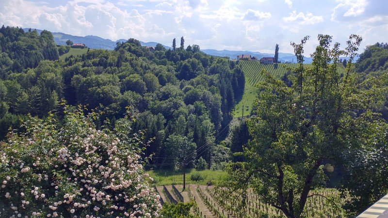 Weinhof Narat-Zitz-酒店景观