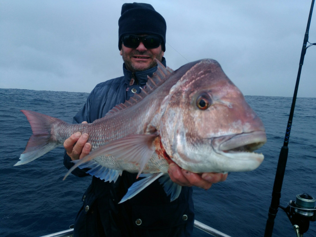 Reef Encounters Fishing Charters景点图片