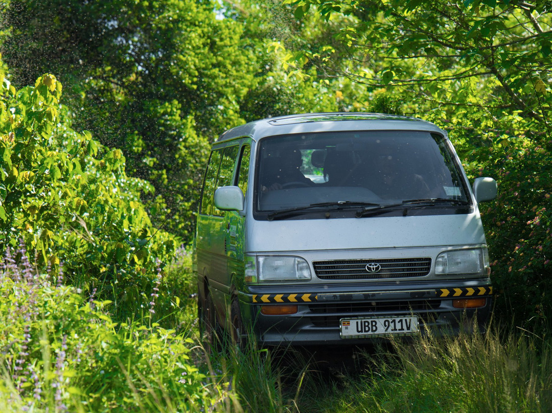 Cornerstone Tours & Travel-恩德培必去景点