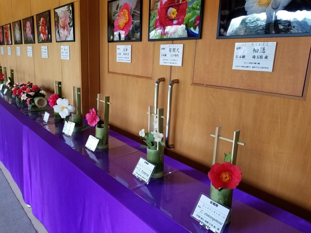 Maizuru Natural Cultural Park-舞鹤市必去景点