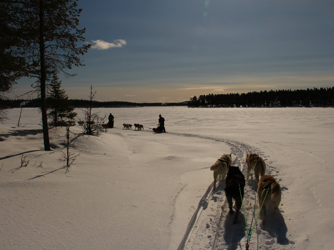 Lappland Emotions景点图片