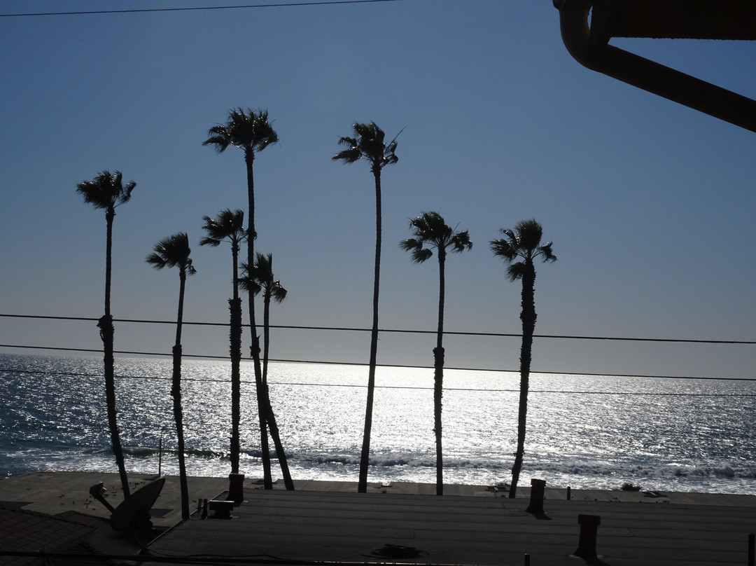 Buccaneer Park-欧申赛德必去景点