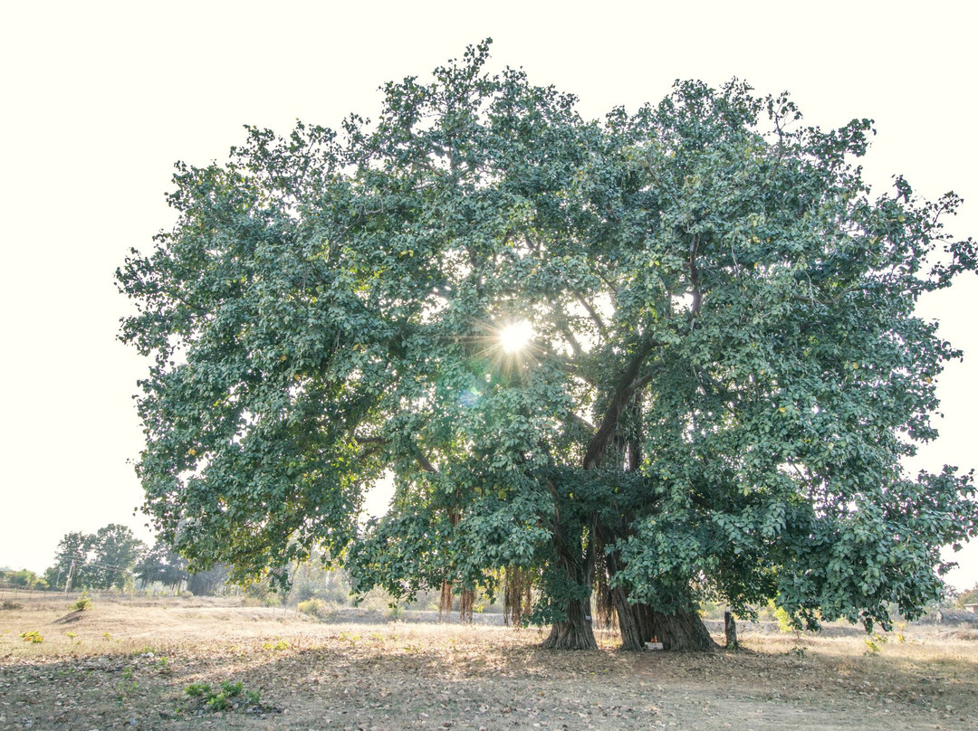 Semri Harchand酒店住宿-Anmol Resorts & Garden