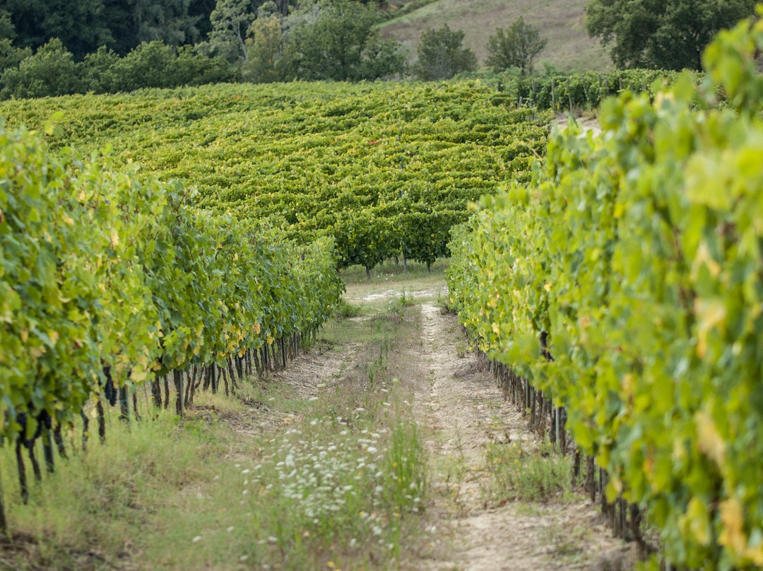 Casa di Monte-蒙特斯佩托利必去景点