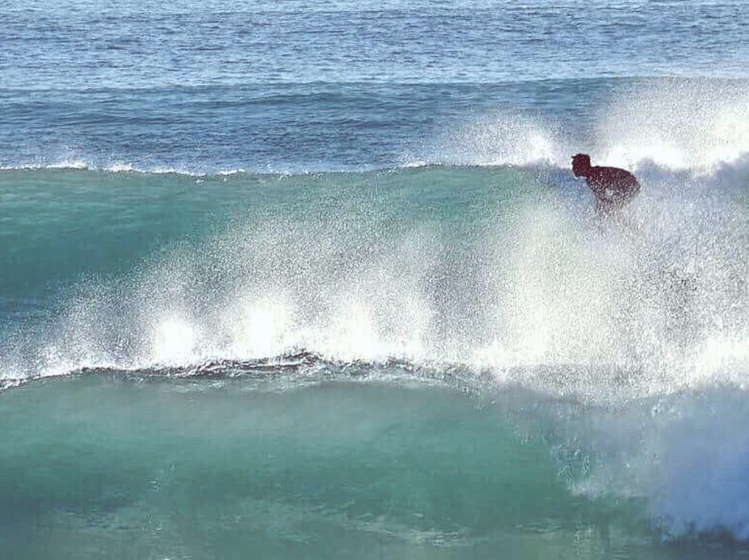 way2surf景点图片