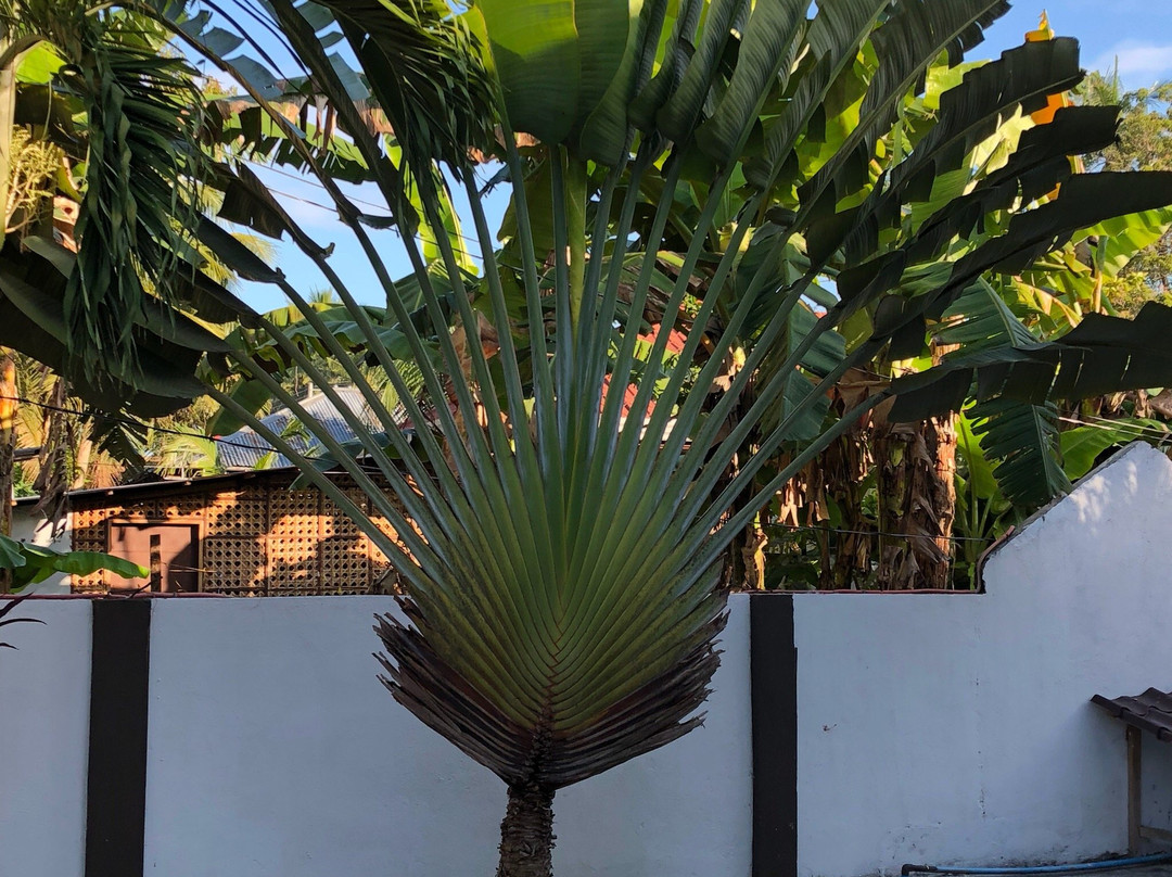 VAA酒馆酒店主图