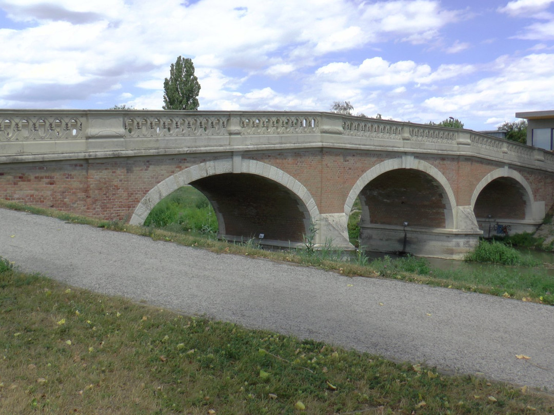 The bridge in Kralova pri Senci景点图片