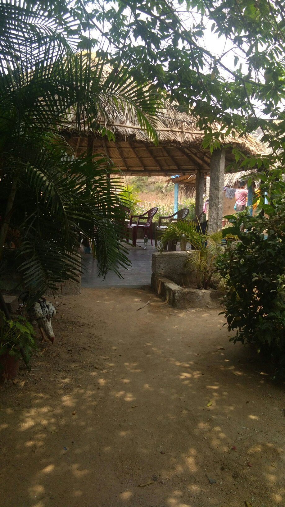 Rambo Guest House-官方