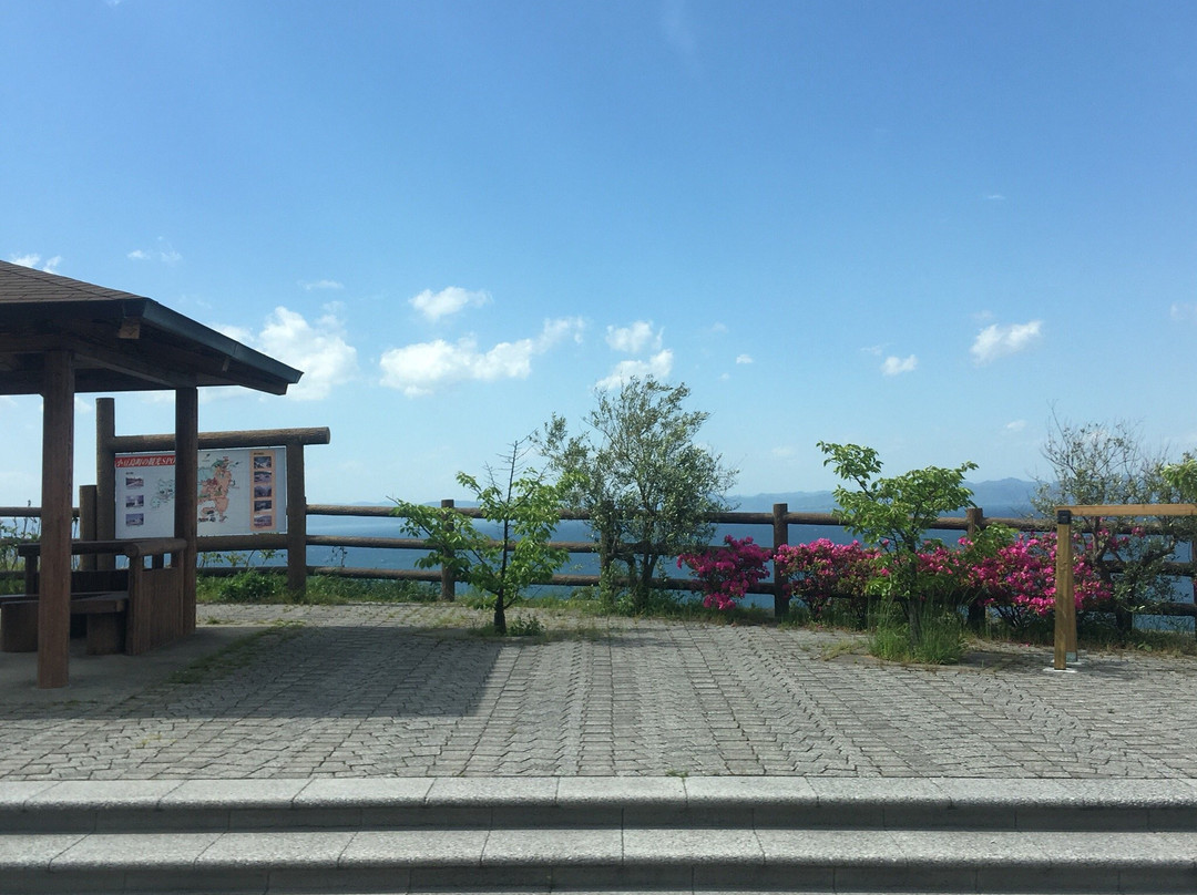 Shodoshima Olive Bus景点图片