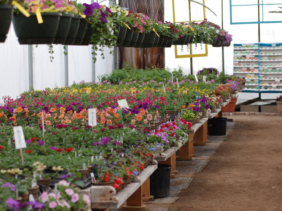 Hudak Farm-Swanton必去景点