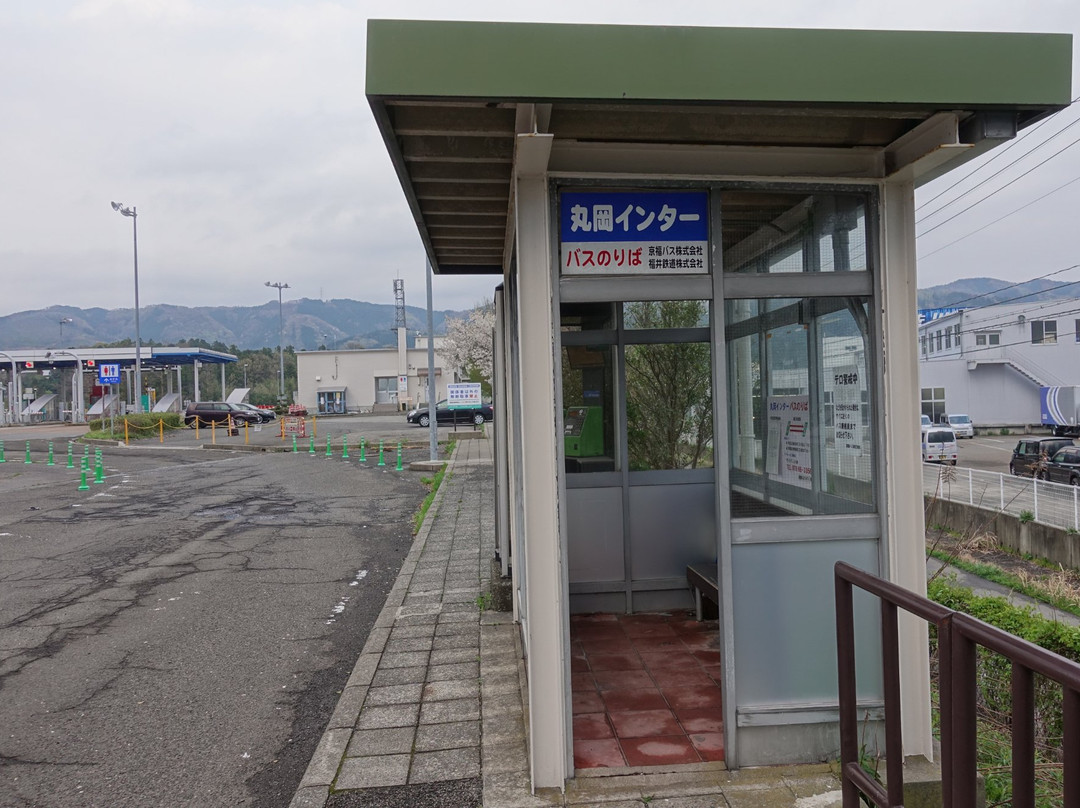 Kasumigajo Park景点图片