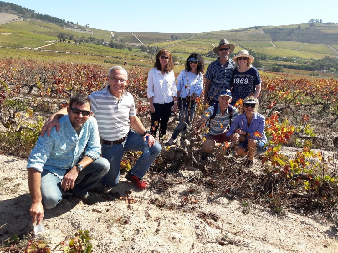 De Waal Wines-斯泰伦博斯必去景点