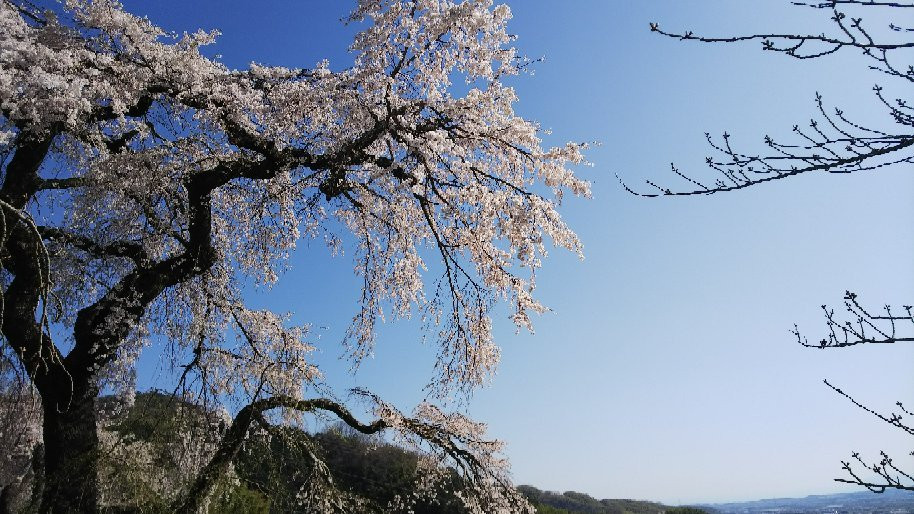 Jizozenin Temple-井手町必去景点