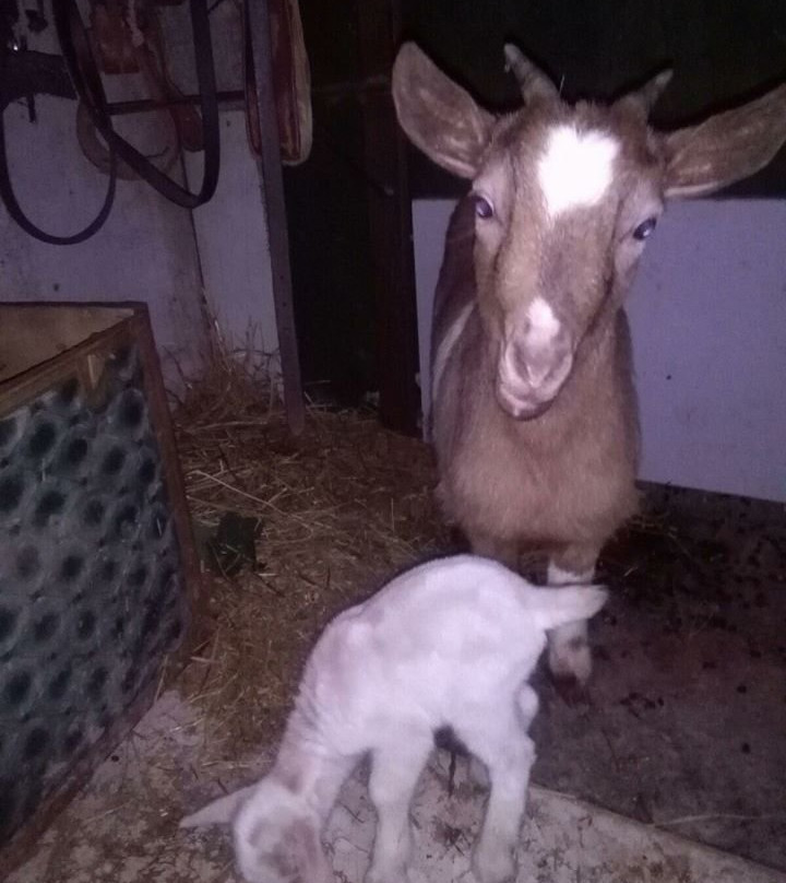 Maneggio La Marca Ranch-Somma Vesuviana必去景点