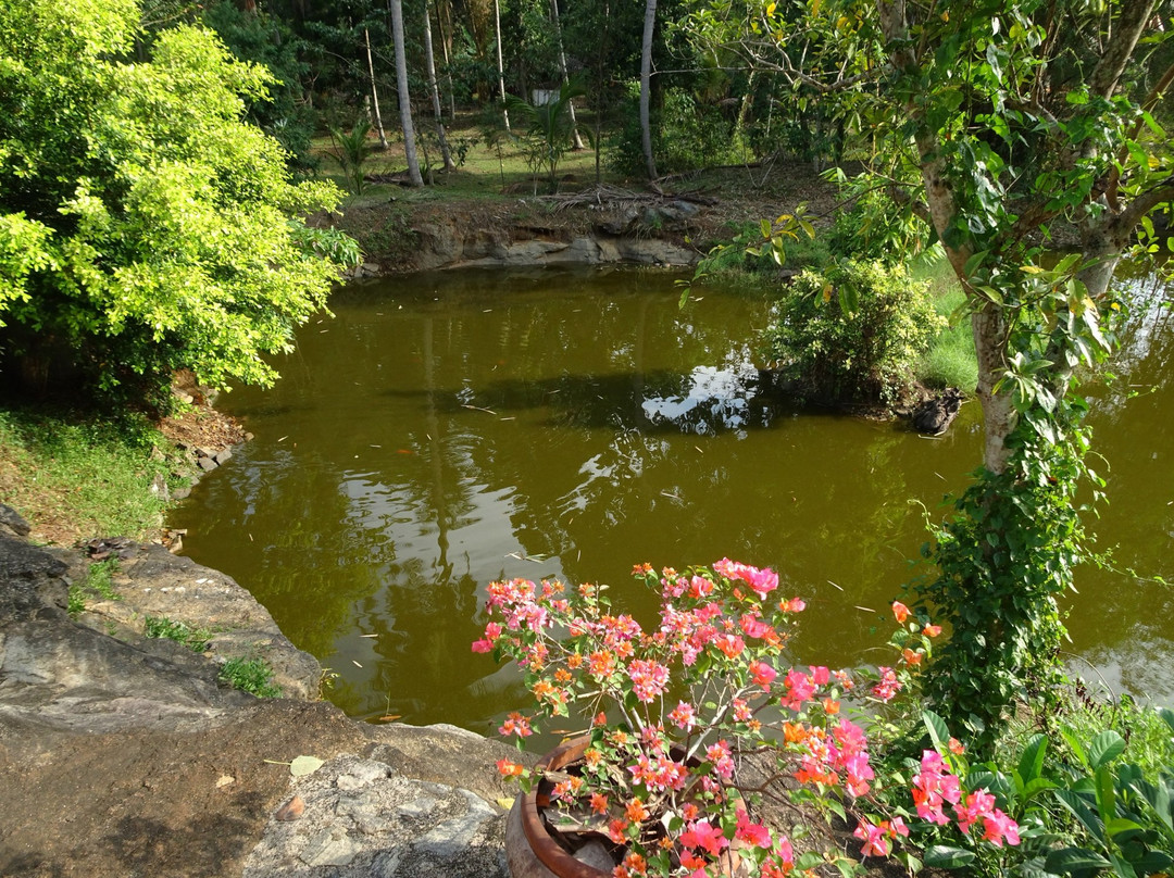 Mahamevnawa Amadahara Buddhist Monastery Pinnawala景点图片