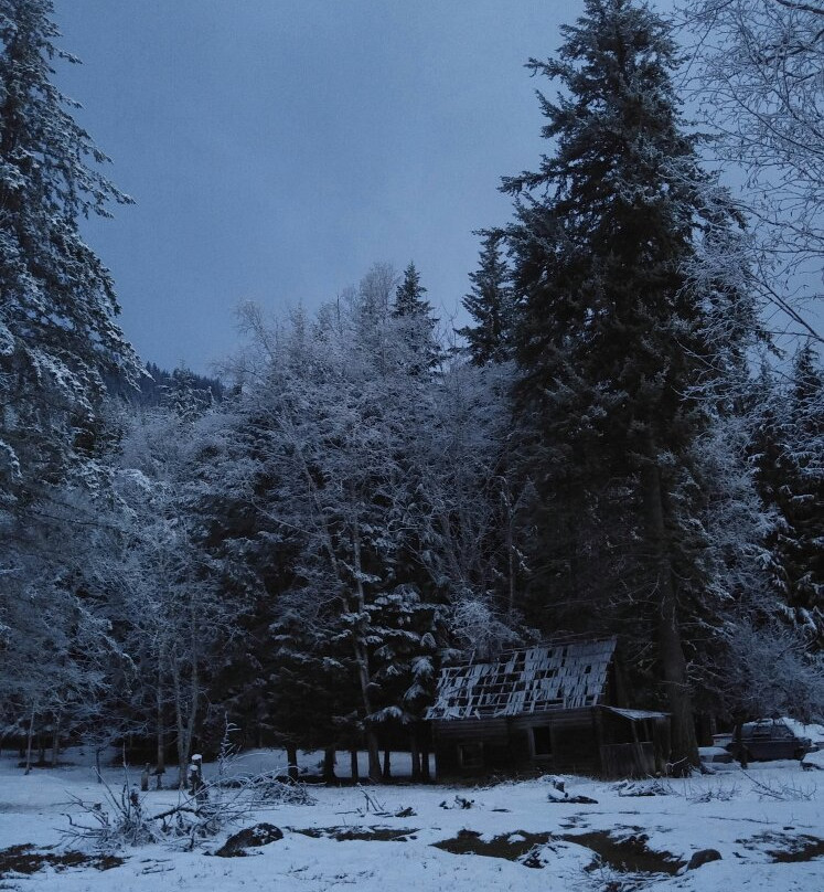 Bieri's Paradise Guest Farm主图