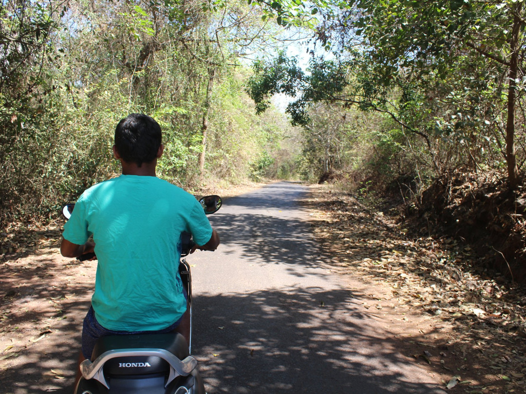 Ganpatipule Bike Rental景点图片