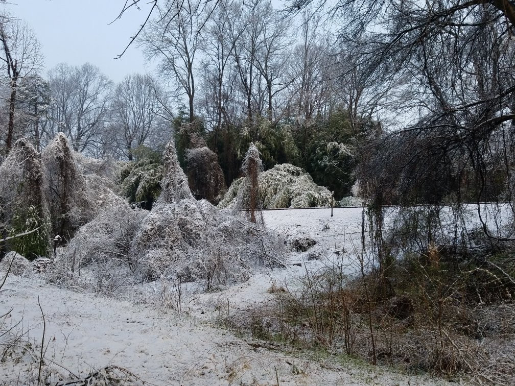 Quality Inn South Boston - Danville East主图