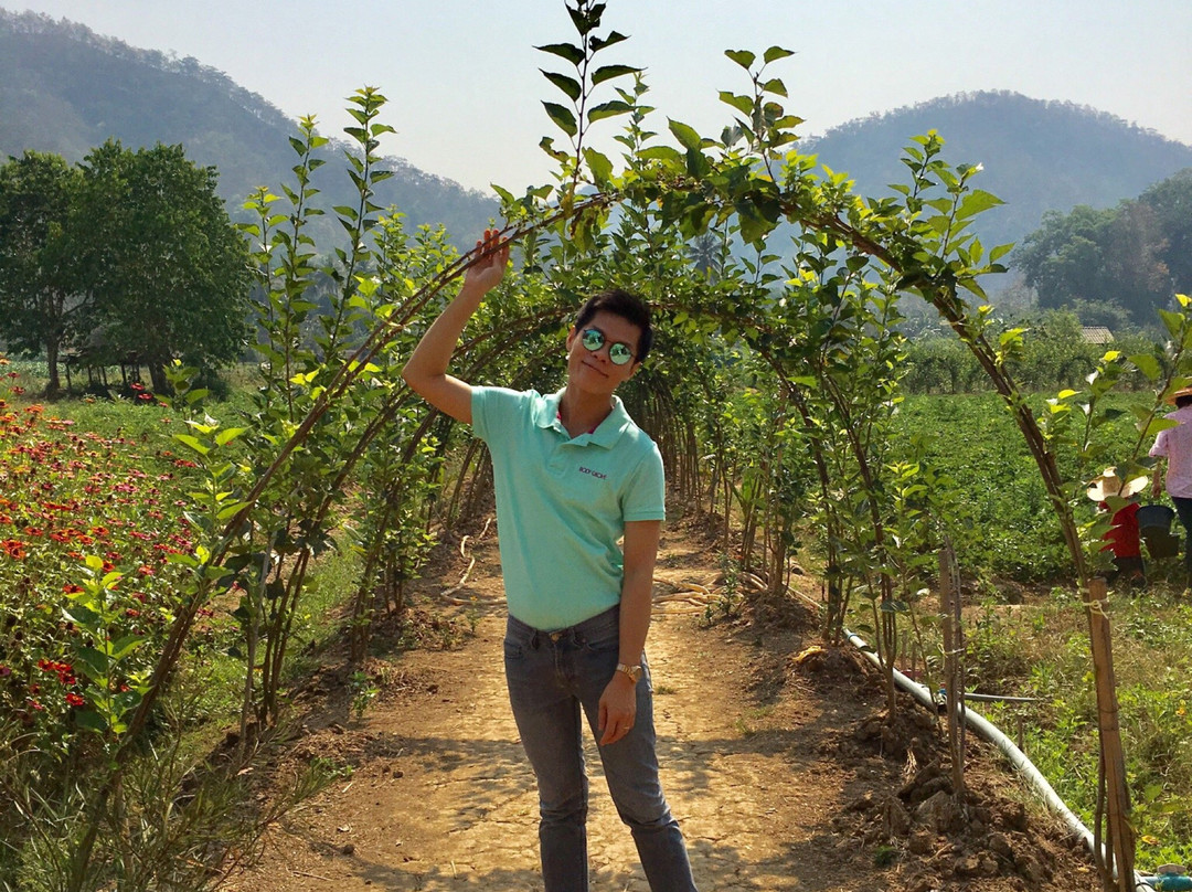 Wongwan Strawberry Farm景点图片