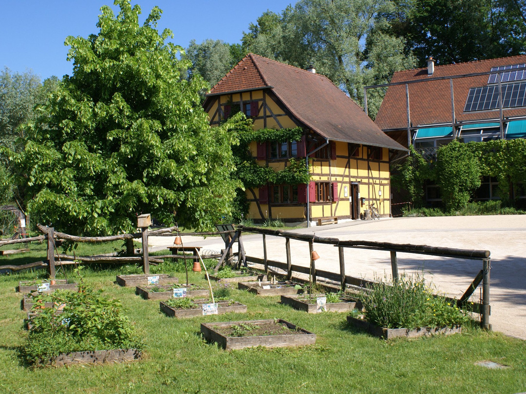 Maison de la Nature du Sundgau景点图片