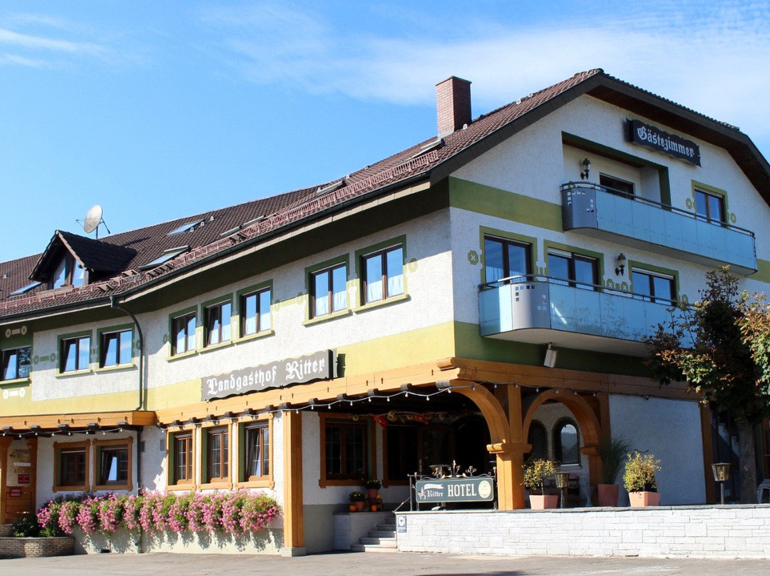 Eigeltingen酒店住宿-Landgasthof Ritter