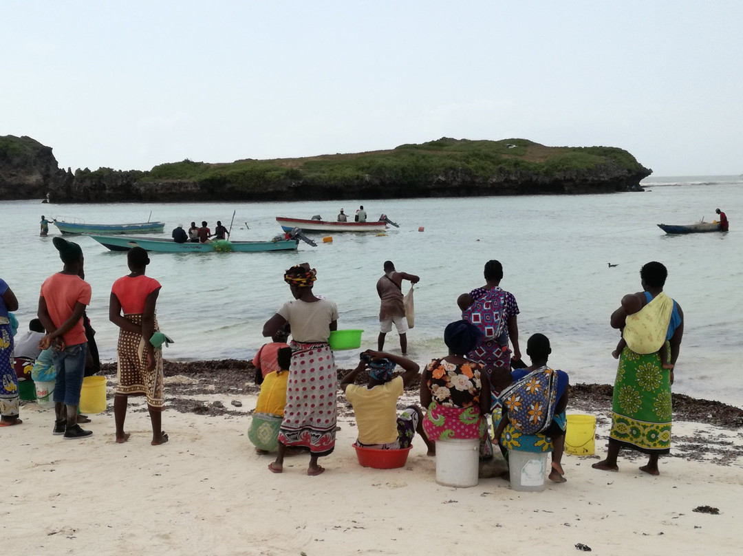 Nyumba Ya Afrika主图