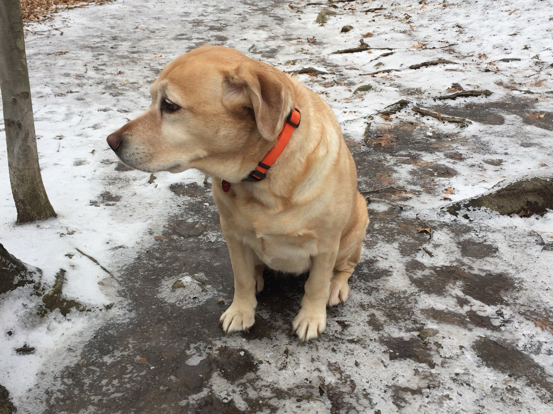 Bartlett Arboretum-斯坦福必去景点