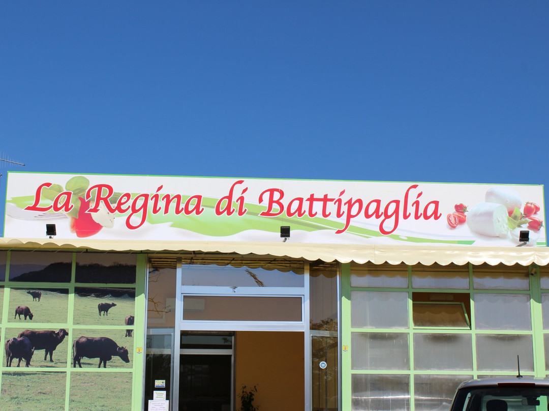 Macchia旅游景点-La Regina di Battipaglia