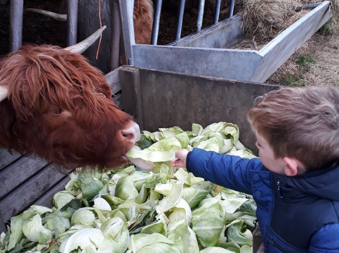 The Rhubarb Triangle Farm Shop景点图片