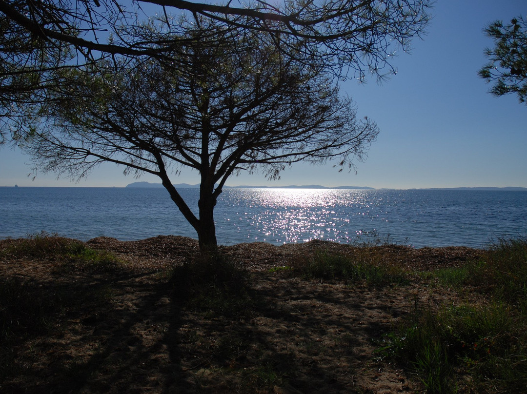 Plage des Salins