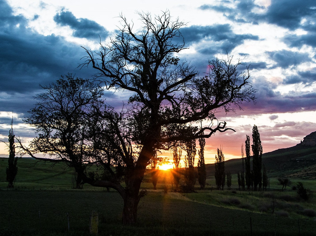 De Molen Farm Clarens主图