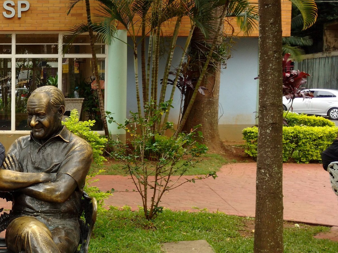 Estátua Ronald Golias-塞拉内格拉必去景点