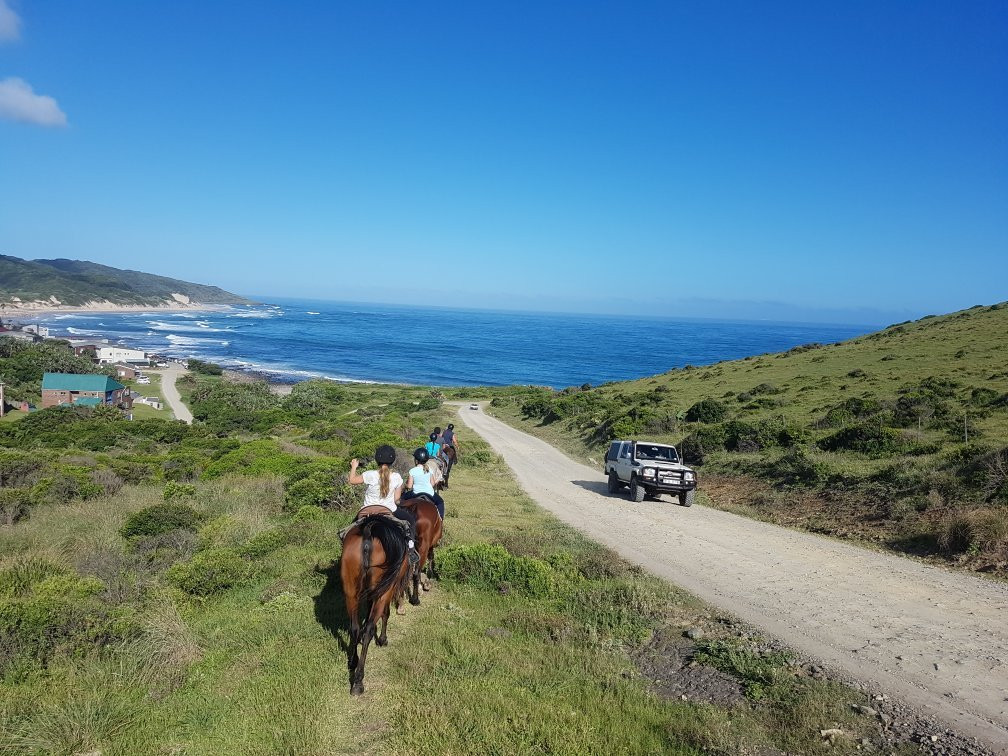 Wild Coast Horse Riding Adventures景点图片