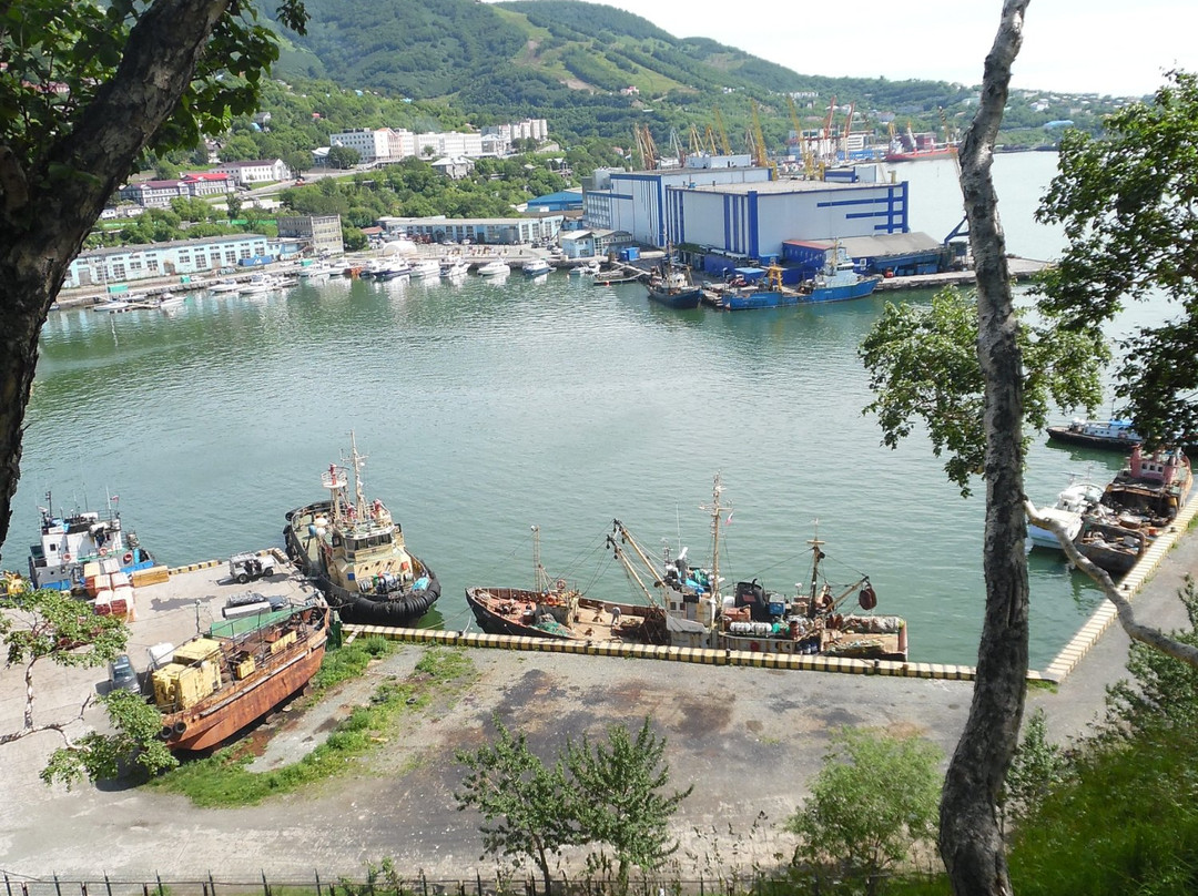 Nikolskaya Sopka景点图片