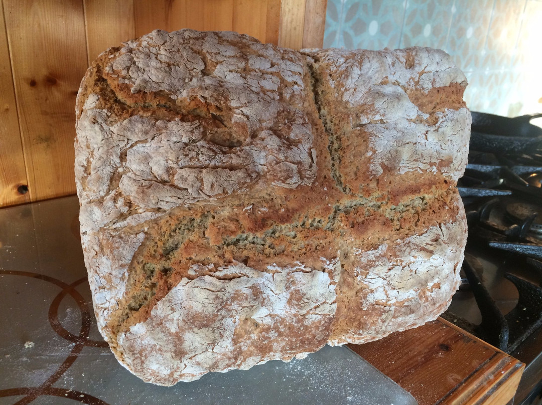 The Mermaid's Garden主图